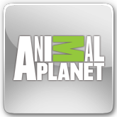 Animal Planet